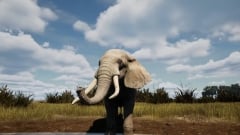 Primal Earth – красивый симулятор животного мира и дикой природы африканского континента