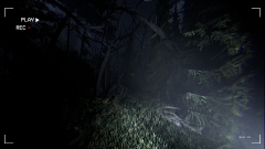 Together After Dark – кооперативный хоррор с подростками, заблудившимися в темном лесу